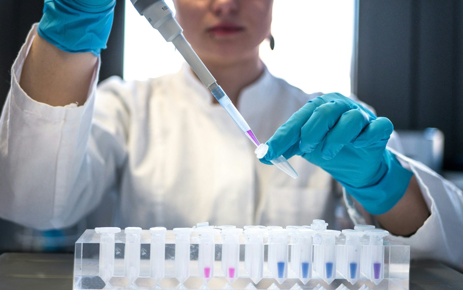 Scientist pipetting samples in a laboratory